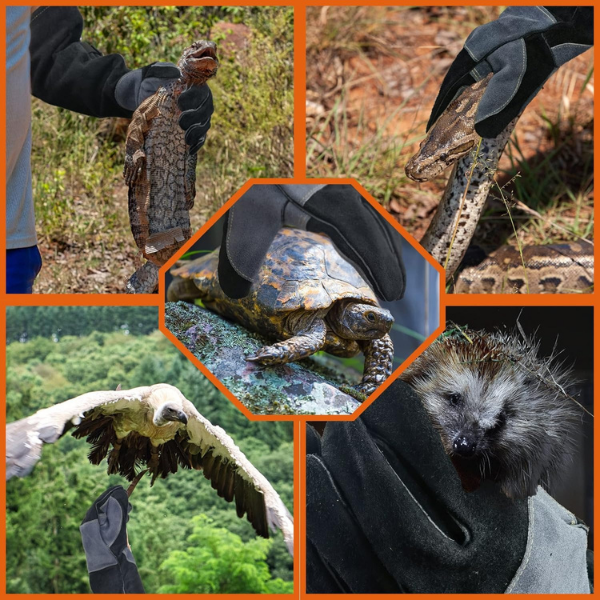 16 Inches,932℉,Leather Welding Gloves, Heat/Fire Resistant,Large Mitts for BBQ,Oven,Grill,Fireplace,Tig,Mig,Forge,Baking,Furnace,Stove,Pot Holder,Animal Handling Glove.L Black-gray - Image 6